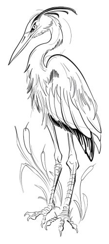 Heron Tattoo Flash – Vancouver Sketch Style Linework
