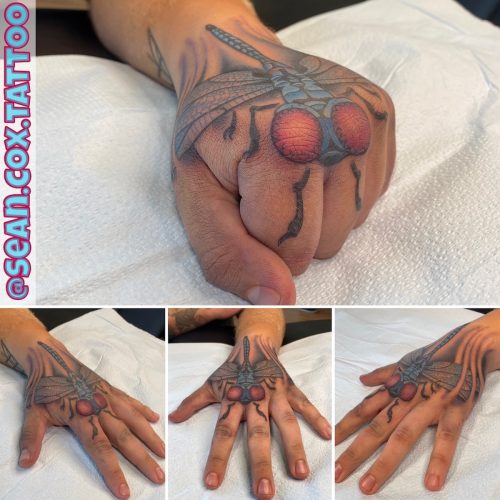 Dragonfly Hand Tattoo, Colour Illustration, Sean Cox Burnaby