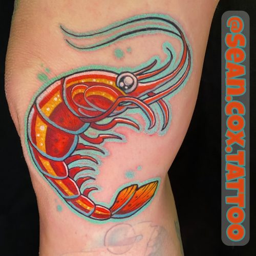 Bright Shrimp Tattoo, Colour Illustration, Sean Cox, Vancouver