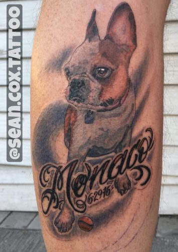 Colour Realism Dog Portrait – New Westminster