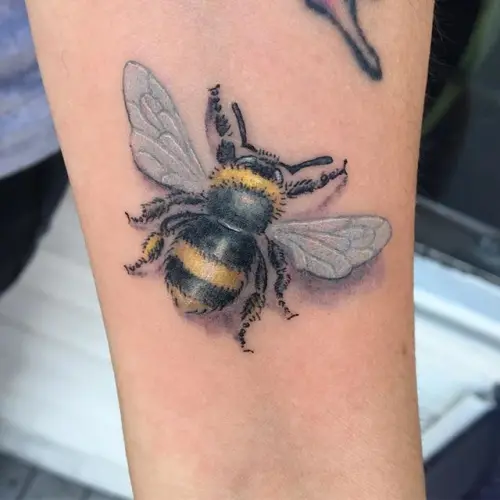 Illustrative bee colour tattoo, by Sean Cox Tattoo, New West